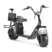 Scooter de golf électrique Loyal X7 avec GPS, design pliable, batterie au lithium étanche, moteur 2000W, autonomie jusqu'à 100 km, vitesse de 50 km/h