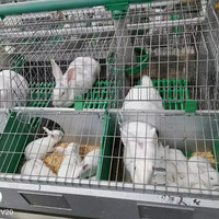 Cage à lapins, cage de reproduction, 24 compartiments, cage à lapins pour femelle