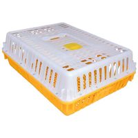 Cage pour animaux à usage domestique portable pour le transport des œufs pour l'éleveur de caille et de dinde de poulet nouvel état utilisation agricole en vente