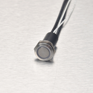 New Arrival 19 Mét kín Cáp IP68 không thấm nước 20A cao hiện tại <span class=keywords><strong>push</strong></span> <span class=keywords><strong>button</strong></span> <span class=keywords><strong>Switch</strong></span> với 12V màu xanh LED cho Marine thuyền RV - Product Image 6