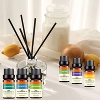 Top 6x10mL Maison Diffuseur Humidificateur Diffuseur D'encens Humidificateur Aromathérapie Qualité Thérapeutique Huiles Essentielles