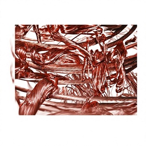 Déchets de fil de cuivre de haute qualité, cuivre nu brillant propre pour le recyclage, pureté 99,99% - Product Image 1