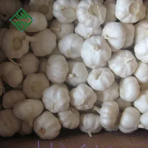 China Fresh Normal White Garlic