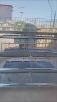 Cage à poulets verticale intégrée à 4 niveaux pour l'élevage et la reproduction des poussins, cage spéciale de petite taille pour la famille, sans alimentation électrique