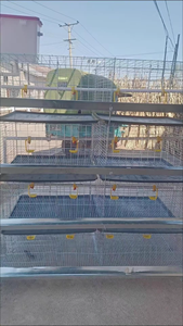 <span class=keywords><strong>Cage</strong></span> à poulets verticale intégrée à 4 niveaux pour l'élevage et la reproduction des poussins, <span class=keywords><strong>cage</strong></span> spéciale de petite taille pour la famille, sans alimentation électrique - Product Image 6