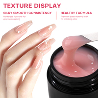 Kit Professionnel de Vernis à Ongles Style Français 120 Couleurs, Revêtement LED, Fournisseur en Gros, Usage en Salon, Fabricant de Vernis Gel