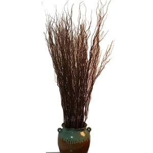 Branches de saule sèches Dragon Willow pour arrangements floraux, décoration de tiges séchées, pièce de présentation, décorations florales séchées - Product Image 5