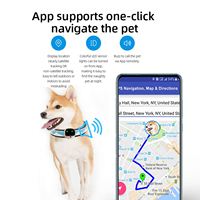 Collier de clôture pour chiot et chien, suivi GPS en ligne, équipement de protection pour chien, balise sonore pour animaux de compagnie, traqueur GPS mondial V43