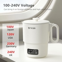 Nouvelle conception de produit tendance 800ML numérique Smart Mini voyage multi-fonction Hot Pot voyage pliable pliable Portable bouilloire