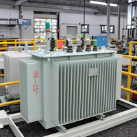 Transformateur de puissance toroïdal immergé dans l'huile, petite capacité, triphasé, S11, 160 kVA, 11 kV, 415 V, abaisseur de tension