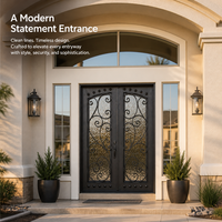 Porte d'entrée moderne en fer forgé, artisanale, avec décorations en volutes, verre martelé, anti-rouille, sécurité, porte simple, sur mesure