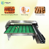 Équipement de tri automatique des œufs contrôlé par écran tactile, ligne de production de codage, de calibrage et d'emballage des œufs en ligne