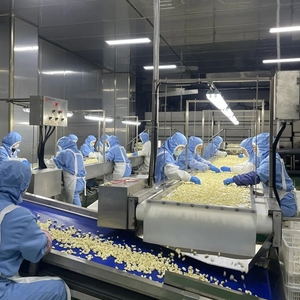 Usine d'<span class=keywords><strong>ail</strong></span> entier frais du Shandong <span class=keywords><strong>Ail</strong></span> pelé <span class=keywords><strong>Ail</strong></span> blanc pour le marché de Dubaï - Product Image 5