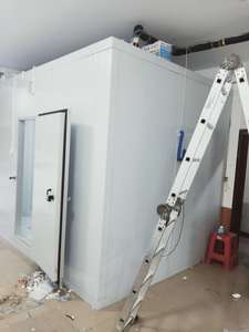 -35-15 ° <span class=keywords><strong>C</strong></span> đi bộ trong mát tủ đông giá lạnh lưu trữ lạnh nhanh chóng-Đóng băng lạnh Blaster chambre chuỗi Kho Giải pháp Trung Quố<span class=keywords><strong>c</strong></span> - Product Image 3