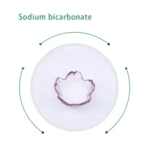 CAS 144-55-8 bicarbonate de soude de qualité alimentaire agent Levant poudre De Sodium bicarbonate