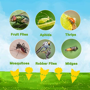 Hiệu Quả Không-Độc Hại Côn Trùng Catcher Vàng Dính Mạnh Mẽ Keo Trái Cây Fly Và Gnat <span class=keywords><strong>Wasp</strong></span> Bẫy Cho Vườn Sử Dụng - Product Image 3