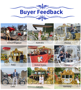 Carruajes de caballos de 4 ruedas y carruajes eléctricos de última generación para bodas y turismo, ahora disponibles para la venta - Product Image 4