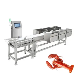 High Quality Shrimp Grader Weight Sorter Check Weight Chicken Fish Conveyor Belt Package Seafood Grading Sorting Machine