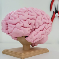 Ornement de maison, artisanat en résine, figurine de crâne humain en impression 3D pour l'école de médecine