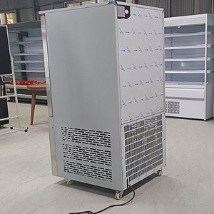 Congelador Comercial de Ultra Baja Temperatura para Congelación Rápida de Mariscos a -40 Grados, Refrigerador Vertical para Cocina Industrial - Product Image 4