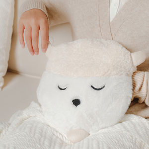 R12 Cute Animal Shape Safety and High Quality Custom Rechargeable <strong>Hot</strong> <strong>Water</strong> <strong>Bottle</strong> Electric Hand Heating Bag - Product Image 2