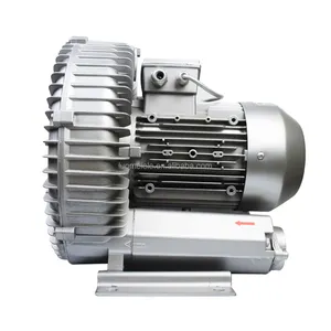 2LM610A11 2.2KW/2.55KW single phase 230v high pressure good quality industrial air blower side channel blower