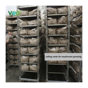 Chariots <span class=keywords><strong>danois</strong></span> pour champignons - Product Image 5