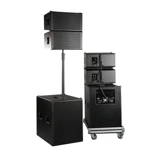Line array single 10 inch line array, Active and passive, indoor outdoor show, sound system