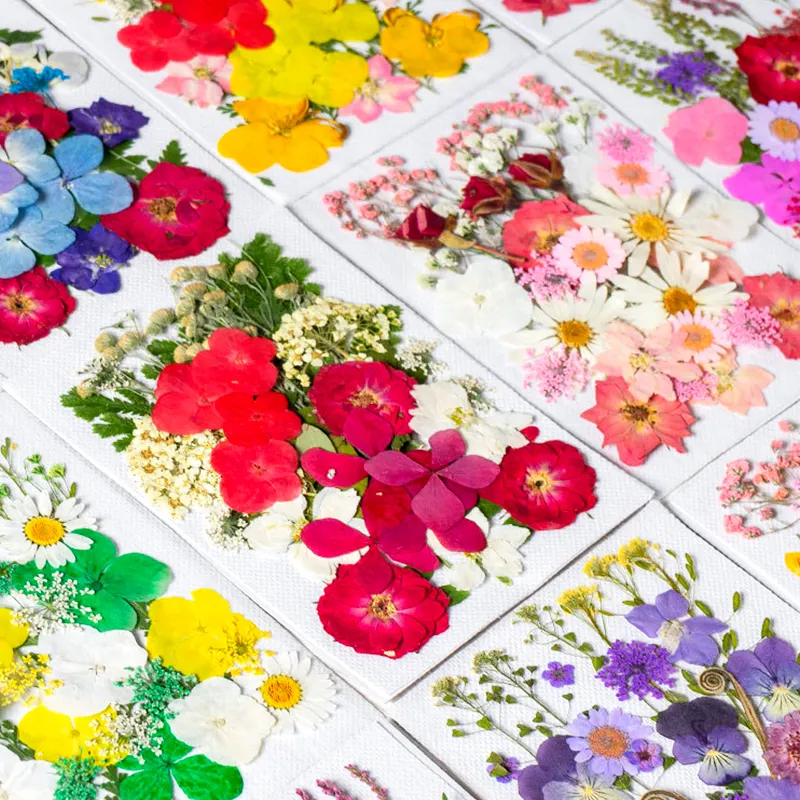 INTODIY gerçek preslenmiş doğa kurutulmuş çiçekler kuru presleme çiçek reçine kalıp DIY takı yapımı tırnak kart karalama defteri sanat zanaat