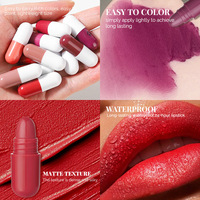 Commerce électronique transfrontalier, ensemble de mini rouges à lèvres en capsule de 18 couleurs, format voyage, texture mate longue durée, vente en gros