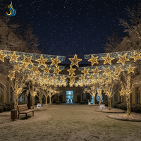 Lanterne de festival, lumières LED pour rideau ciel étoilé |   Guirlandes lumineuses suspendues de style lanterne chinoise pour la décoration de rue et les fêtes