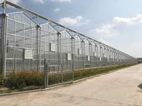 Serre agricole en verre commercial avec système hydroponique pour les légumes, projet clé en main