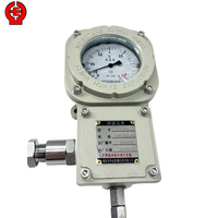 Explosion-proof Temperature Gauge with Pt100 Sensor 4-20mA Signal Instrument for Motor Bearing Petrochemical Hazardous Area