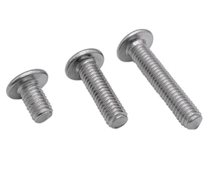 สกรูสแตนเลส 304 หัว Torx T25 แบบบาง ยี่ห้อ LeGood CM เกลียว M6 ความยาว 12 มม. - Product Image 4
