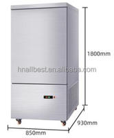 Congélateur à air pulsé en acier inoxydable basse température, modèle AB-10C-45, sans givre, 230L, pour usage commercial, hôtels, usines de viande, services de restauration