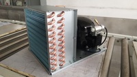 Unité de condensation semi-hermétique Retekool R134 à économie d'énergie avec moteur de compresseur compact pour réfrigérateur