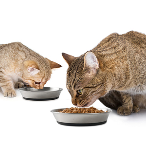 Assiettes à vaisselle pour <span class=keywords><strong>chat</strong></span> antidérapantes peu profondes pour petits chiens chiots bols pour chats bols pour chats en acier inoxydable pour nourriture et eau - Product Image 6