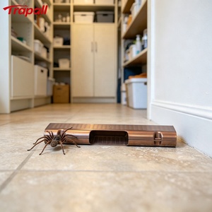 Trampa para Arañas Saltadoras, Dispositivo Portátil de Interior de Tamaño Pequeño con Puntos de Pegamento, Herramienta para Atrapar Insectos y Arañas - Product Image 1
