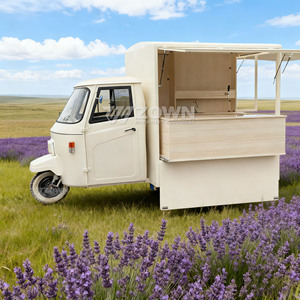 Direct-from-Factory Electric Tricycle Food Cart Design Construction 2-Year Warranty for Hamburger Pizza BBQ - Product Image 5