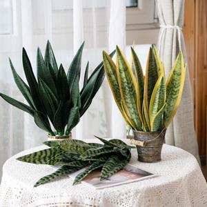 Feuille vert foncé serpent plante <span class=keywords><strong>tigre</strong></span> <span class=keywords><strong>orchidée</strong></span> feuilles bonsaï plantes pour la décoration de la maison - Product Image 1