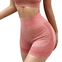 2024 Logo personnalisé Fitness Butt Lift Leggings serré taille haute entraînement sans couture course et cyclisme Yoga pantalon pour les femmes