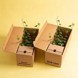 Caja <span class=keywords><strong>de</strong></span> Transporte para Bonsáis con Protección Reforzada a <span class=keywords><strong>Precio</strong></span> <span class=keywords><strong>de</strong></span> Fábrica, Caja <span class=keywords><strong>de</strong></span> Transporte para Exhibición <span class=keywords><strong>de</strong></span> Plantas y Flores, Caja <span class=keywords><strong>de</strong></span> Envío para Plantas en Maceta - Product Image 3