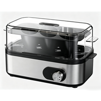 Cuiseur à œufs électrique en acier inoxydable à affichage numérique, cuiseur à riz automatique à quartz, cuiseur vapeur à œufs électrique domestique individuel