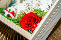 2025 Nieuwe Mini Geconserveerde Bloem Kerst Elanden Rendier Santa Voor Halloween Easter Party Chinees Nieuwjaar