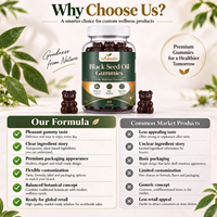 Gummies véganes d'huile de nigelle à marque privée – Soutien immunitaire, santé intestinale, peau et cheveux – Supplément à base de plantes sans OGM – Vente en gros OEM pour adultes