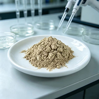 Poudre Probiotique de Bacillus Licheniformis de Haute Qualité pour le Traitement de l'Eau des Étangs de Poissons et de Crevettes