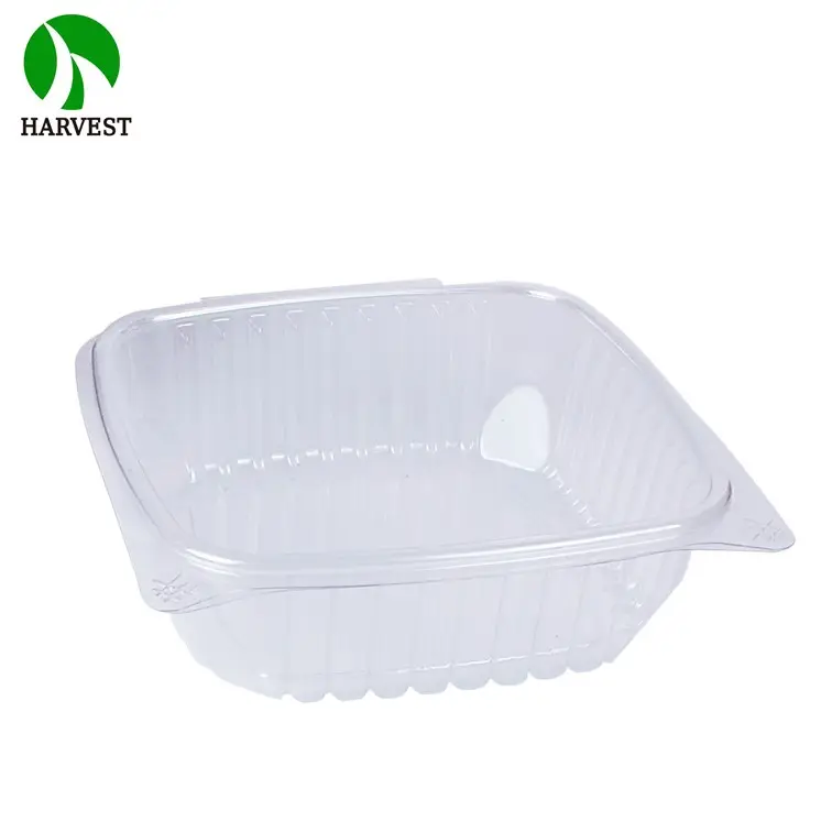 Plastic Takeaway Gemüses alat Verpackung 48 Unzen Einweg Clam shell Hinged Food Container