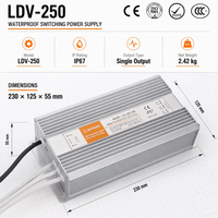 Alimentation LED étanche 250W 12V 20.8A IP67, adaptateur de commutation scellé LDV-250 pour éclairage paysager et signalétique dynamique