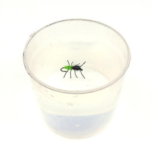 ขาแมลงสำหรับผูกเหยื่อตกปลา 100 ชิ้น/ล็อต วัสดุทำจากพลาสติก ขนาด 15 ซม. รูปทรงเหมือนจริง สำหรับแมลงสาบ ผึ้ง และแมลงน้ำ - Product Image 5