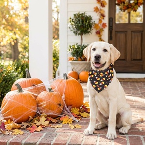 Nouvel Arrivage Personnalisable OEM : Bavette Triangulaire Festive d'Halloween pour Chiens <span class=keywords><strong>et</strong></span> Chats – Accessoires <span class=keywords><strong>et</strong></span> Fournitures pour Animaux de Compagnie - Product Image 2